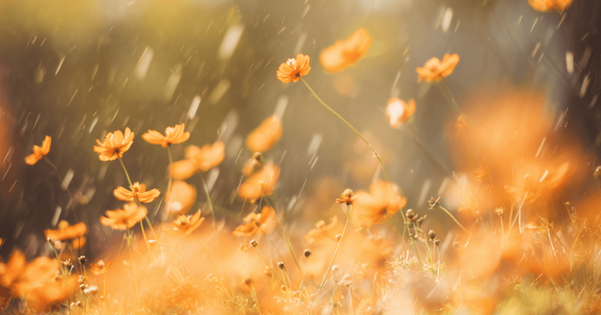 Reframing AI myths; What's real fear vs. what's projection