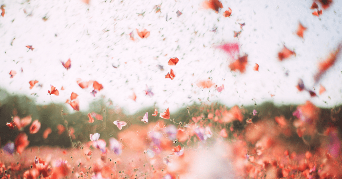 Beyond the Hype: Debunking the 8 Fallacies of AI in the Workplace