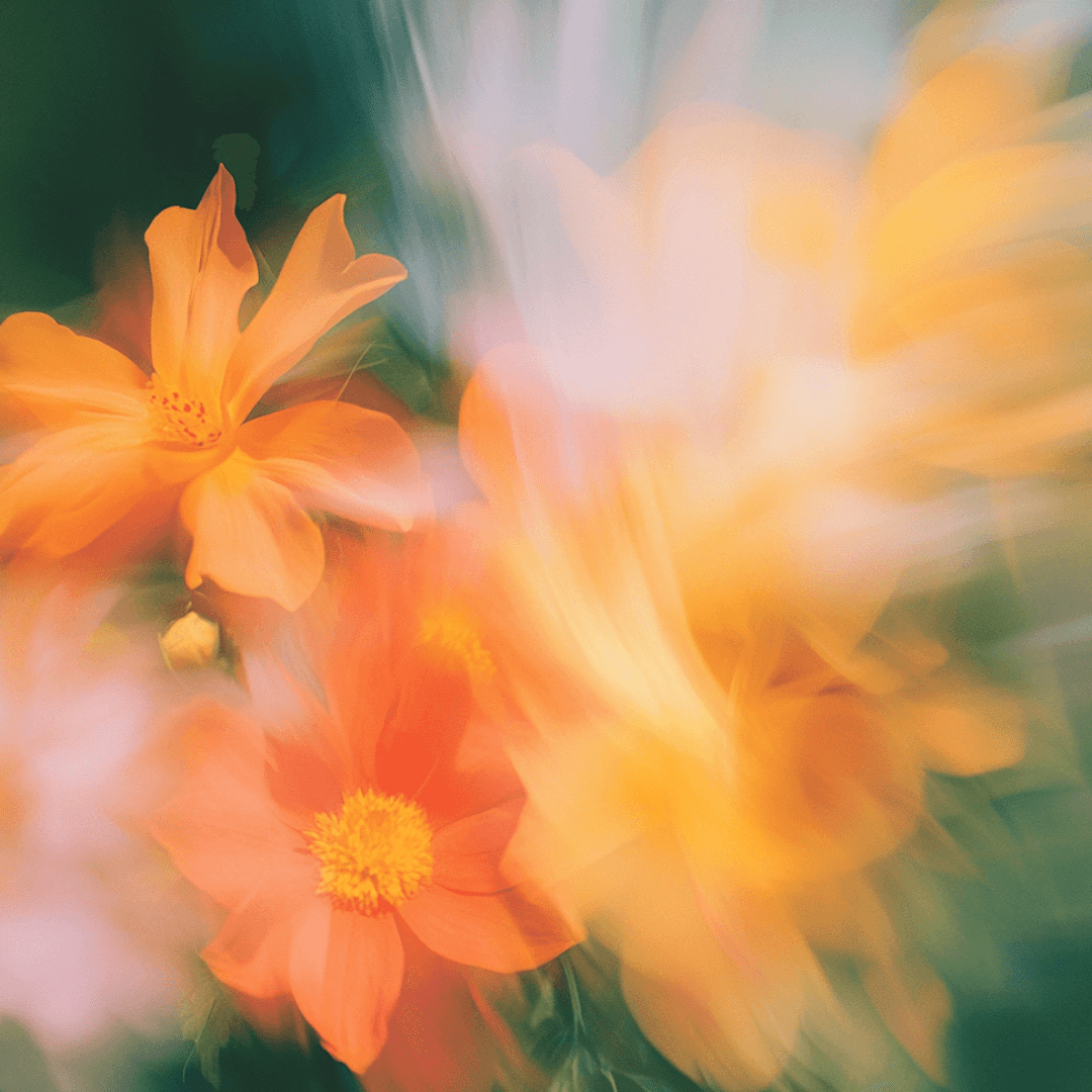 Leading the human side of AI: From resistance to readiness